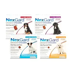 Nexgard spectra for dogs